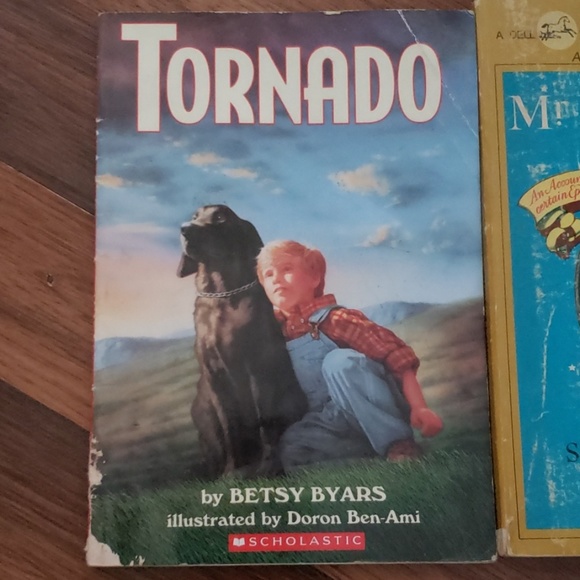 Books - Picture 6 of 8